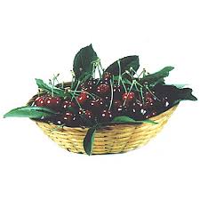 Black Tartarian Cherry Tree Semi Dwarf Groworganic Com
