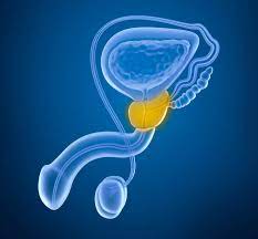 Prostata Op Verfahren Risiken Und Reha
