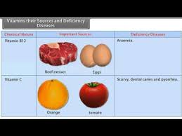 Vitamins Their Sources And Deficiency Diseases Youtube