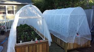 How to make a raised vegetable garden with pallets. Raised Bed Gardens From Pallets Hometalk