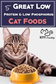 The best cat food for cats with chronic kidney disease will reduce kidney workload by moderating protein, carbohydrate, and phosphorus intake. Low Protein Low Phosphorus Cat Food Reviewed