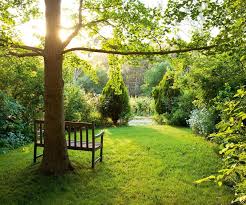 Natural Gardening Principles Govern This Adelaide Hills Landscape Australian Garden Wisteria Plant Natural Garden