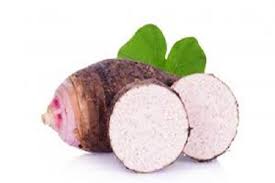 Taro, a member of the family araceae, is the common name under which a large number of plants reside. Taro Dalo Kalo Or Godere Colocasia Esculenta