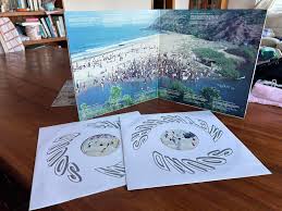 Image result for Azure Blue 1986 Beanstalk Shelving