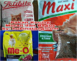 Untuk kucing persiakhususnya anakan, ikan menjadi jenis makanan yang cukup favorit baginya, karena dapat membantu pertumbuhan. 8 Merk Makanan Kucing Yang Bagus Dan Murah Terbaru 2020 Hobinatang