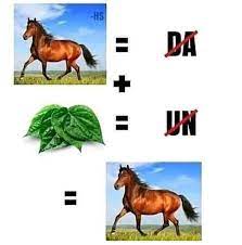 Hewan, hewan apa yang perut, kepala, mata, bahkan kakinya di kepala? Mikir Keras 10 Meme Tebak Gambar Ini Jawabannya Bikin Nyengir