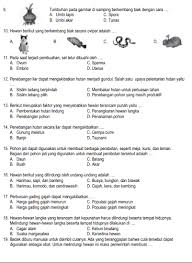 Pin Di Kelas Enam