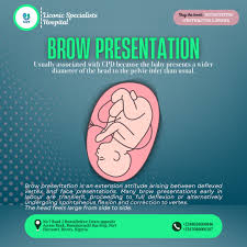 Image result for Brow Presentation