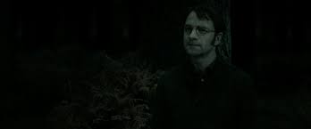 How did harry potter die? On Twitter Again James Potter Lily Evans Y All Died At 21 You Do Not Look Twenty One Part Of The Tragedy Is That They Died Young So When 17 Nearly 18 Year Old