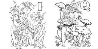 You can also use this coloring page to make some super adorable fairy fairy garden coloring sheet. Garden Fairy Alphabet Coloring Book Darcy May 9780486290249 Amazon Com Books