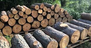 Image result for site:byggahus.se klyva