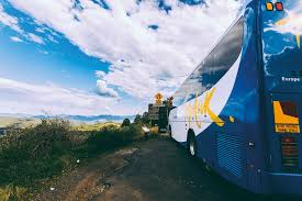 Great trip with lots of amazing activities! Topdeck Travel Adventure Queensland