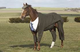 世界初！ 馬のために仕立てた本気のツイードスーツがSo British - ねとらぼ