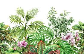 We've gathered more than 5 million images uploaded by our users and sorted them by the most popular ones. Tropical Plants Affordable Wall Mural Photowall