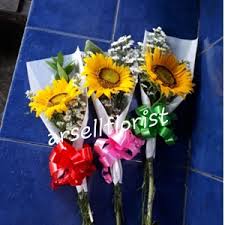 Bibit bunga matahari yang ada di sini dibeli dari tangerang pada bulan november 2017 lalu. Jual Bunga Matahari Toko Arsell Florist Jakarta Indotrading