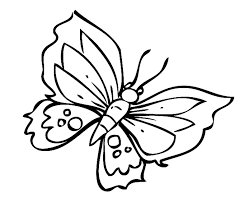 Ausmalbild Natur Kostenlose Malvorlage Toller Schmetterling Kostenlos Ausdrucken Malvorlagen Malvorlage Schmetterling Ausmalen