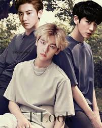 Exo Edit Chanyeol Baekhyun Sehun Suho Jongin Jongdae Kyungsoo Xiumin Yixing Zitao Luhan Yifan