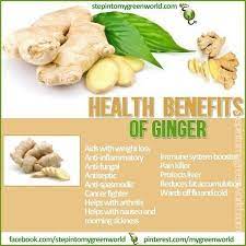 Do You Eat Ginger Root The Health Benefits Of Ginger Are Numerous Relieves Nausea Anti Infla Ginger Benefits Health Benefits Of Ginger Raw Food Diet