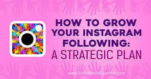 Do you start your game thinking that you're going to get the victory this time but you get sent back to the lobby as soon as you land? How To Grow Your Instagram Following A Strategic Plan Social Media Examiner