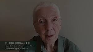 Kathryn Hodgkinson's Instagram, Twitter & Facebook