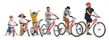 Cycle Shark Woom Bikes