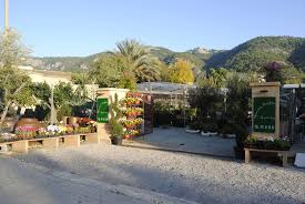 Garden Center Andratx