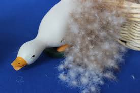Durchschnitt der bewertungen 3,0 (1) 0% empfehlung. Daune Mit Gans Betten Segger