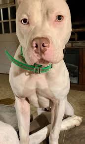 Would you all just look at this cuteness overload "TURBO NOVA" Nova Lee  Arnett 6 pounds 11 oz 20 inches long She made her appearance yesterday  October 3rd at 1:15pm Congratulations Travis