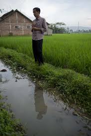Arti dari mimpi menjual sawah adalah : Foto Aksi Jokowi Ngobrol Dengan Petani Di Tengah Sawah Merdeka Com
