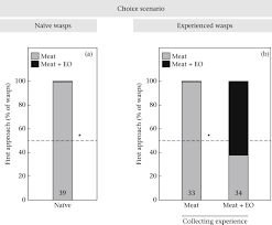 General pest control is categorized as insects that are usually a nuisance and are invading your living areas like kitchens, bathroom. Foraging Experience Modulates Response To Aversive Odour Cues In Social Wasps Sciencedirect