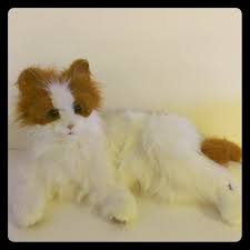 Hasbro Other Furreal Friends Lulu Cat Interactive Hasbro Poshmark