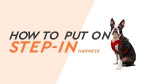 Escape Free Easy Fit Harness