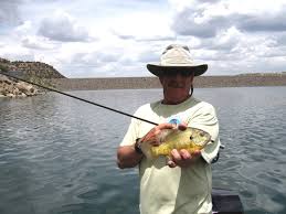 OUTDOORS NM: Navajo Lake and the San Juan River-Flyfish Them Both for Twice  the Fun!