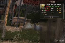Cdo is being advertised as the new best private server for bdo, the truth is, it's a server riddled with bugs, incompetent staff working off stolen files with inability to improve and is simply a. Bdo Guide 50 Markup With One Single Buff A Way To Become A Magnate With The Desert Trade Buff Inven Global