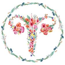 Resultado de imagen para útero