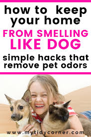 So if they have an accident in the home, you and now you know how to remove pet stains and odors thoroughly and why this is so important. How To Remove Pet Smell Out Of Your House Simple Cleaning Hacks In 2020 Pet Smell Cat Urine Smells Pet Odor Remover