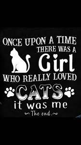 True Story Noshame Catlife Cats Cat Quotes Funny Kitten Quotes Cat Quotes