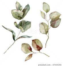 Watercolor Autumn Set Of Eucalyptus