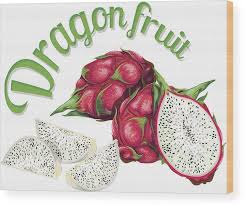 30 Top For Dragon Fruit Drawing Images Cine Regard How to cut dragon fruit easily ? cine regard