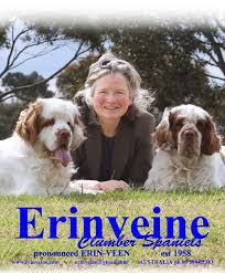 Why buy a clumber spaniel puppy for sale if you can adopt and save a life? Erinveine Clumbers Est 1958