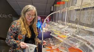 Du mieux en 2023 pour les salles de cinéma de Bolbec et  Port-Jérôme-sur-Seine