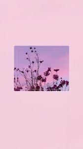 Iphone Wallpapers Pinterest Esina1 Aesthetic Wallpapers Pretty Wallpapers Aesthetic Iphone Wallpaper Hemos preparado unos fondos de pantalla preciosos para que te animen el día cada vez que mires comparte este artículo: pinterest