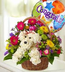 Yes, we offer balloon delivery throughout toronto and the gta! A Dog Able In A Basket Flower Delivery Toronto On Flowers Of The World