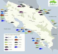 Costa Rica Fishing Guide Planning A Memorable Trip Fecop