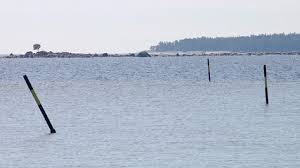 Itaisen Suomenlahden Rannikkovesien Kunto Menossa Pikkuhiljaa Parempaan Suuntaan Sisavedet Ja Joet Paaosin Muutaman Vuoden Takaisessa Kun Outdoor Beach Water