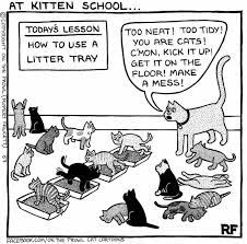 If You Re A Cat Owner You Ll Totally Relate To These Illustrations Cat Jokes Funny Cats Kitten Cartoon