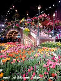 Field Trip 2017 Philadelphia Flower Show Holland Flowering The World Philadelphia Flower Show Philadelphia Magic Gardens Flower Show