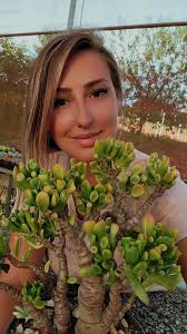 Uma suculenta simples se tornando especial 🩷 A Crassula ovata gollum,  também conhecida por orelha de Shrek, quando adulta se transforma em um  lindo mini bonsai. Confere aqui o meu exemplar e alguns ...