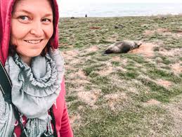 50 Unforgettable Things To Do In New Zealand For Your Bucket List