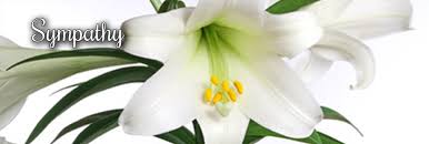 We did not find results for: Exeter Florist Flowers Exeter Send Flowers Exeter Flower Delivery